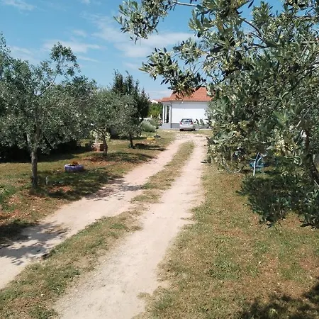 Grbic Apartment