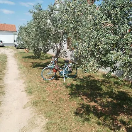Apartment Grbic Vodnjan