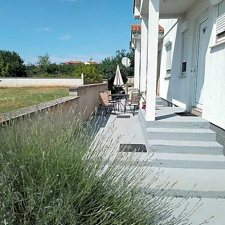 Grbic וודניאן
